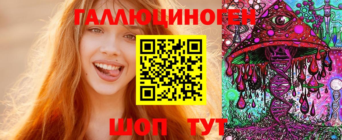 Псилоцибиновые грибы Psilocybe Надым